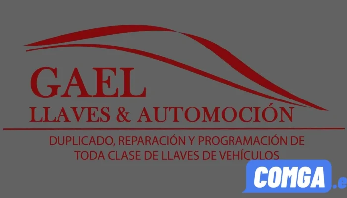 Duplicado Copia Llaves Coche -  Gael Llaves Automocion Valencia Del Propietario - Valencia