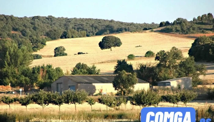 Quintanilla Del Agua Y Tordueles -  Burgos - Burgos