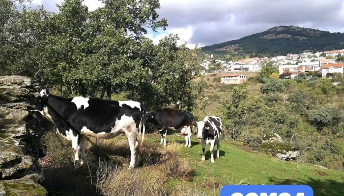 Tiburcio Rodríguez García -  Como Llegar - Miraflores de la Sierra